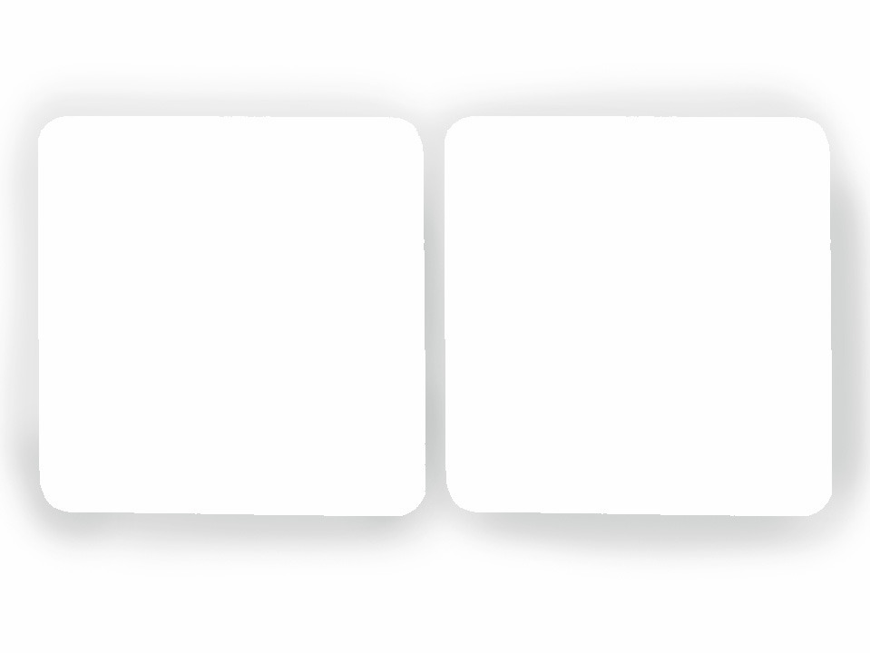 R8_Quattro_Inlay weiss_doppelt.jpg